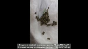 Солодовый экстракт фирмы "Своя Кружка"- Светлый Эль
