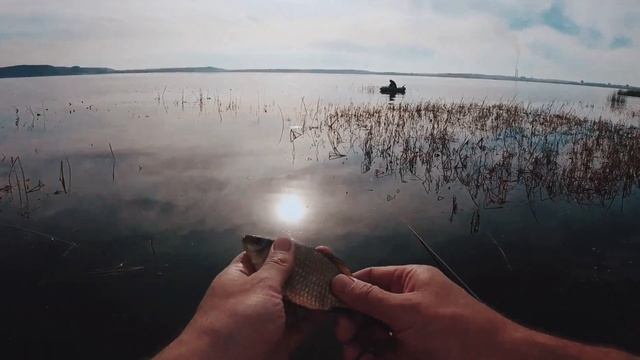 РЫБАЛКА НА КАРАСЯ В ОКТЯБРЕ. Река Днепр. Ловля на глубине 40 сантиметров смотреть онлайн