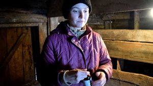 ВИТАМИНИЗАЦИЯ. КАКИЕ ИНЪЕКЦИИ ДЕЛАТЬ НОВОРОЖДЕННЫМ КОЗЛЯТАМ