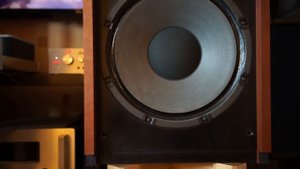 Victor JS-750 & Triode TRV845SE (5)