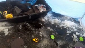 Рыбалка в ноябре, в Аборино.