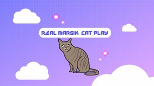 Real Marsik Cat.mov