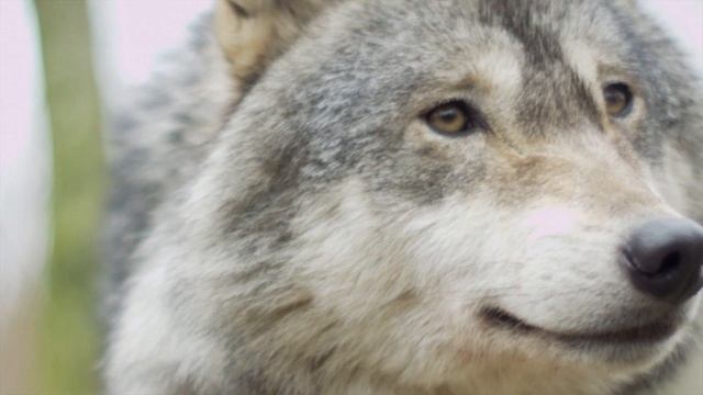 Красивая расслабляющая музыка - успокаивающая музыка фортепиано гитары и скрипки