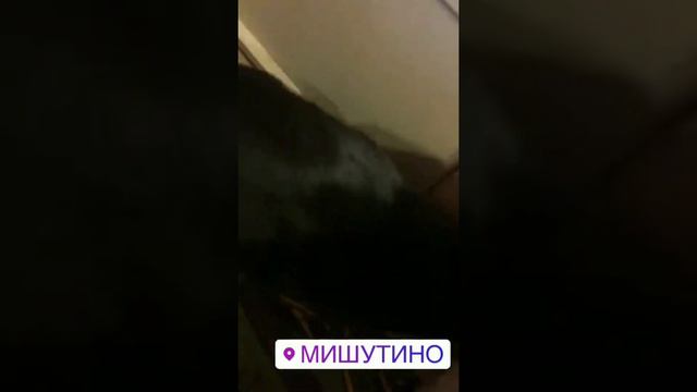Иосиф Оганесян и Саша Черно в сторис 25.01.2020. Перевезли попугаев, с крыши залило потолок.