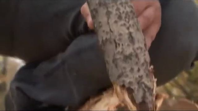 Походный лайфхак: долгоиграющий костер из бревна смотреть онлайн