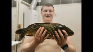 Обзор на Дайва (daiwa) Ninja feeder NjF390H – BD. Народный фидер для умеющих считать деньги!