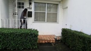 Миа Халифа (Mia Khalifa) - ГФ.