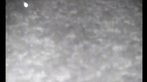 Тепловизор PULSAR QUANTUM HD38S