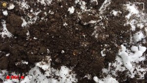 ЛАЙФХАК! Как копать ЛЮБЫМ ПРИБОРОМ по снегу и грязи. Зимний коп монет 2020