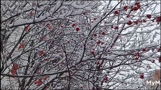МОШЕННИКИ РАБОТАЮТ#сбербанк#мошенники#развод#лохоброкеры