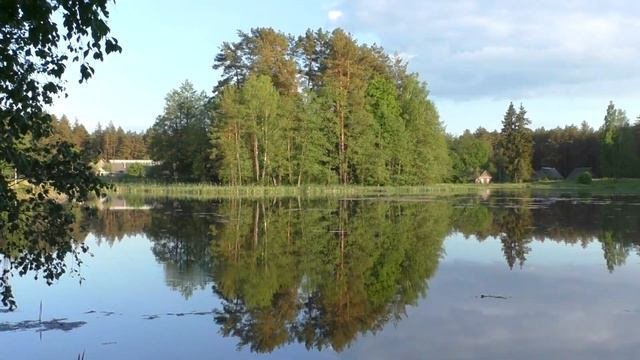 Дом у озера. Лесное озеро. Релакс пауза #relaxing #relax #relaxpause #природа #лес #озеро #домуозер