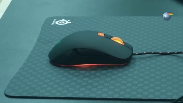 Сравнение игровых мышек SteelSeries и Razer