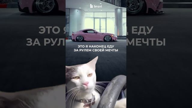Купить мечту – легко ? #reels #автокредит #reelsinstagram #jdm смотреть онлайн