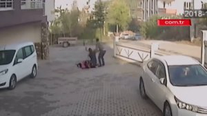 Собаки нападают на ребенка