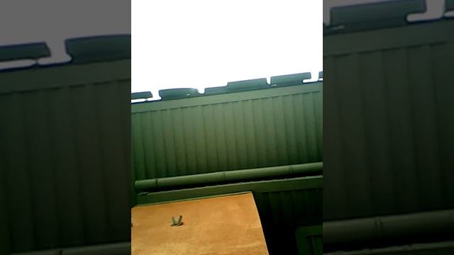 Где купить мороженое в степянке смотреть онлайн