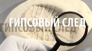 ГИПСОВЫЙ СЛЕД - КРИМИНАЛИСТИКА
