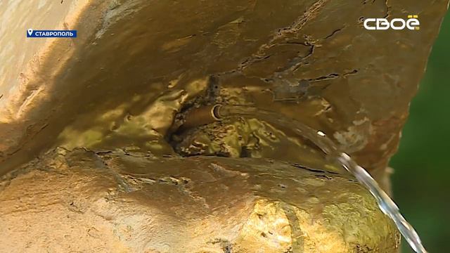 Новости на Своём от 7 июня 2024г. 8:30