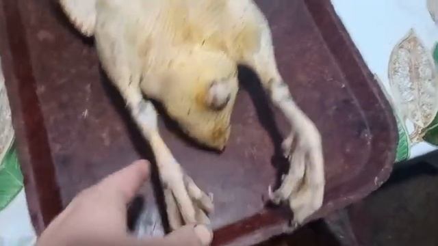 Утка+сода=хороший результат!