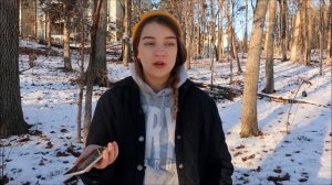 адаптация в америке, успеваемость в американской школе || ответы на вопросы || Полина Сладкова