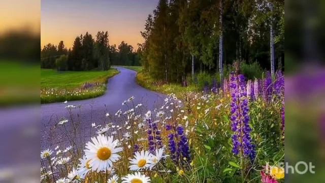 САБЛИМИНАЛ ДЛЯ ГАРМОНИИ ЖЕНЩИНЫ смотреть онлайн