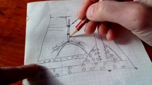 Проверенный способ посадки винограда. ОШИБКИ ПРИ ПОСАДКЕ САЖЕНЦЕВ