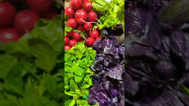 Овощей Зелин салат редиска Цветная капуста рейган брокколи супер Свежий￼￼ смотреть онлайн