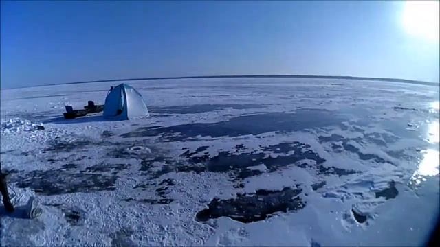 Ленинградская обл рыбалка ОНЕГА ПЛОТВА всё клюёт и клюёт?14.02.2018