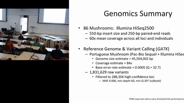 UM EEB Seminar: Anne Pringle, University of Wisconsin, Madison смотреть онлайн