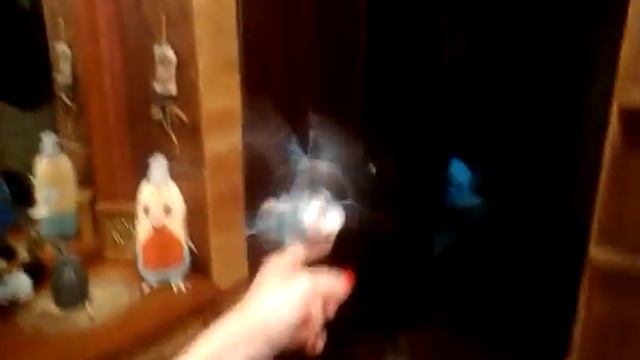 Попугай улетел смотреть онлайн