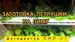 первый раз сушу петрушку в Дегидраторе RMD-07