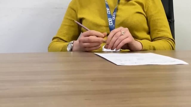 Собеседование с Конченной Кадровичкой (ООО СК 10) смотреть онлайн