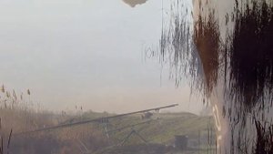 В гармонии с ПРИРОДОЙ!!!