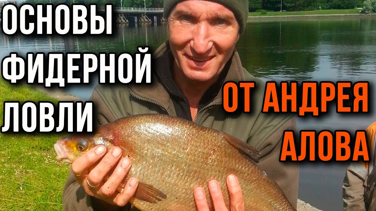 Основы фидерной ловли от Андрея Алова.