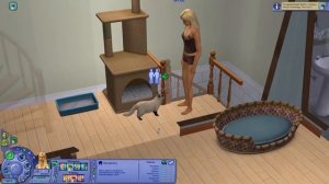 Let's Play The Sims 2 #2 Повышение