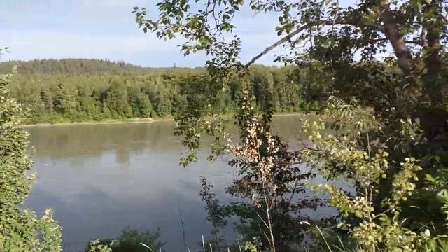 158.Гармония природы и классической музыки