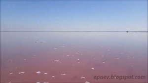 ОЗЁРА КРЫМА: Розовое озеро (Сасык-Сиваш) 2020 | CRIMEAN LAKES: Pink Lake (Sasyk-Sivash) 2020