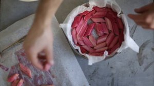 Rhubarb Upside-Down Yogurt Cake | Green Kitchen Stories