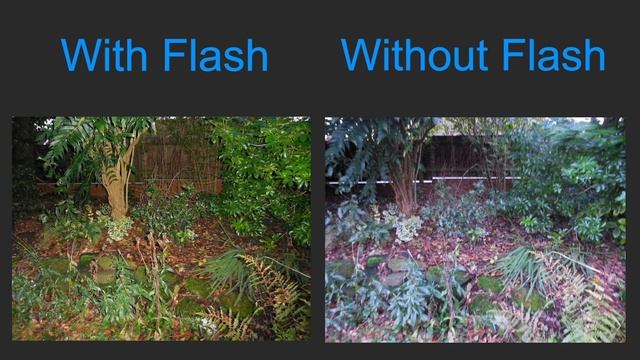 Nikon Coolpix S6600 Camera | Photo/Camera Test смотреть онлайн