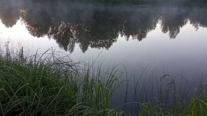 Раннее раннее утро. Рыбалка на пруду. Непередаваемая атмосфера