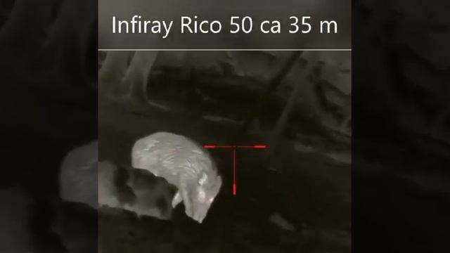 Infiray Rico RH50 смотреть онлайн