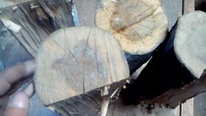 Заготовка материала из яблони и ясеня