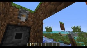 X-Ray в minecraft (Как можно видеть сквозь стены)