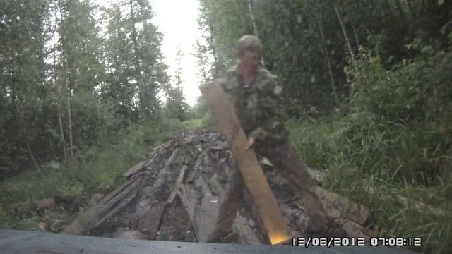 Нива, лесная дорога