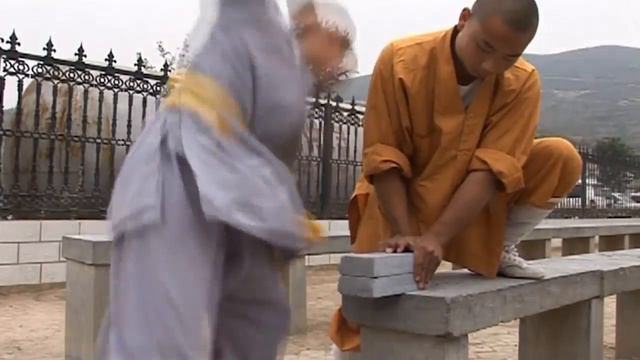 Shaolin Kung Fu 少林功夫