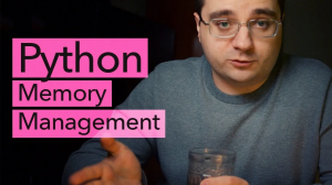 107. В Python — нет переменных. И как теперь жить Python Memory Management на пальцах