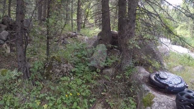 Алматинский заповедник 015 смотреть онлайн