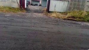 НОЭМА 100гдш65-8 по 2 динамика в параллель