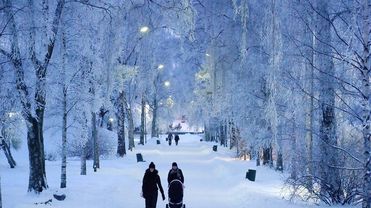 Зимняя прогулка в парке