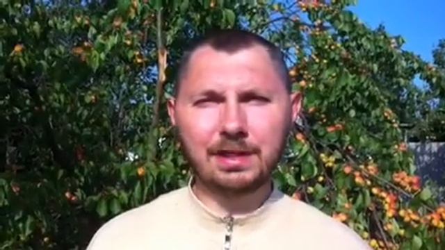 Бог видит всё смотреть онлайн