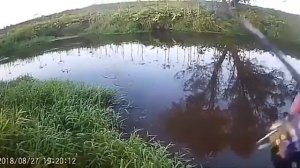 Крупная щука на блесну